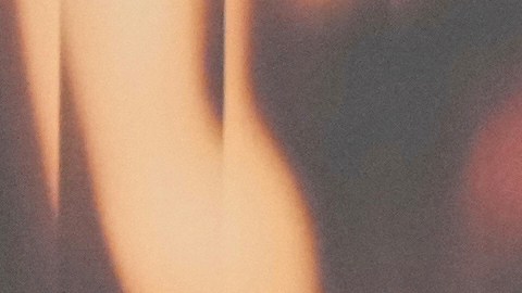 Los ganadores de la edición de 2025 serán presentadores en los premios Oscar 2026.