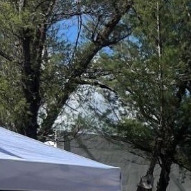 Protestas contra Trump en Puerto Rico - No Kings