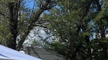 Protestas contra Trump en Puerto Rico - No Kings