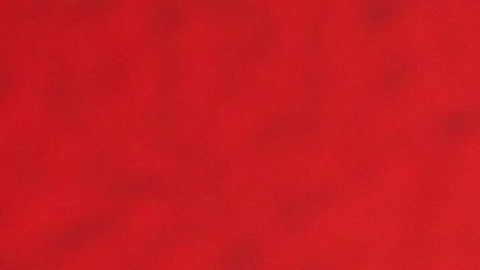 Rachel Brosnahan se encargó de hacer una reforma en esta propiedad.