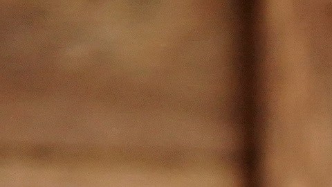 Maika Monroe protagoniza "Reminders of Him".