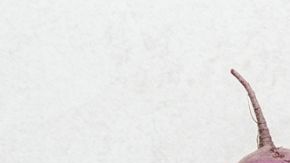 Remolachas orgánicas crudas con hojas verdes, ricas en betalaínas y betaína para la desintoxicación del hígado graso