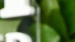 La casa de Rihanna fue blanco de un tiroteo.