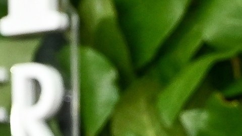 La casa de Rihanna fue blanco de un tiroteo.