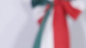 Roberto Velasco, subsecretario de Relaciones Exteriores de México.