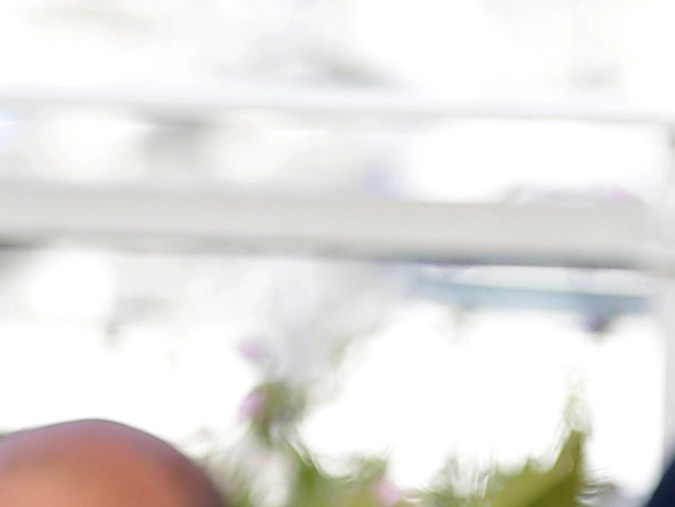 Roman Polanski ha evadido la extradición durante décadas.