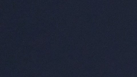 Rosalía fue criticada por su opinión sobre Pablo Picasso.