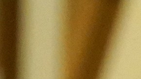 Rose Byrne ha obtenido este año su primera nominación a los Oscar.