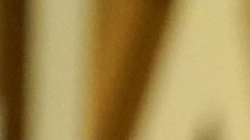 Rose Byrne ha obtenido este año su primera nominación a los Oscar.