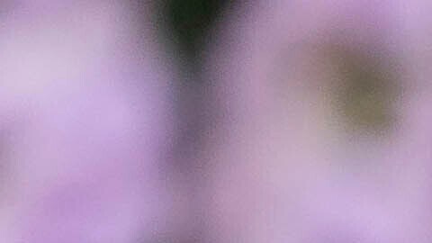 Ruth Gemmell ha dado vida al personaje durante cuatro temporadas.