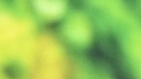 Ryan Gosling no ha dado declaraciones sobre el éxito que ha tenido la película que protagoniza.