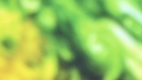 Ryan Gosling no ha dado declaraciones sobre el éxito que ha tenido la película que protagoniza.