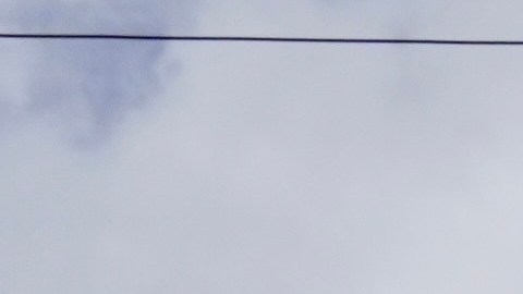 La madre de Savannah Guthrie desapareció hace un mes.