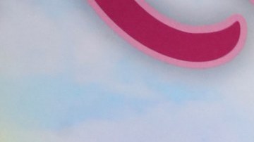 Sergio Mayer, actor mexicano.