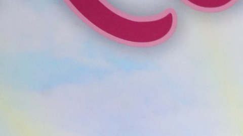 Sergio Mayer, actor mexicano.