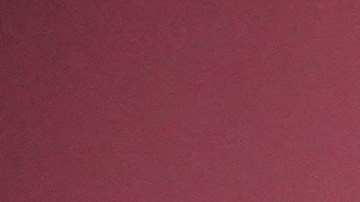 'Sinners' ganó el premio de Mejor Elenco en una película.