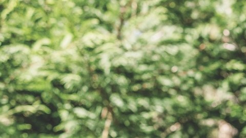 T-Mobile ofrece opciones de servicio móvil e internet poderosas y flexibles para maximizar el presupuesto familiar.