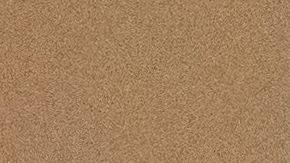 El presidente Donald Trump (izquierda) y el primer ministro israelí, Benjamin Netanyahu.