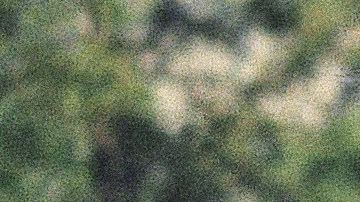 Robert Redford y Barbra Streisand comenzaron su amistad en el set de 'The Way We Were'.