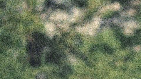 Robert Redford y Barbra Streisand comenzaron su amistad en el set de 'The Way We Were'.