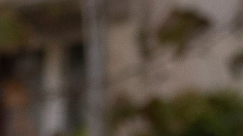 Tony Parker construyó esta propiedad desde cero a inicio de los 2000.