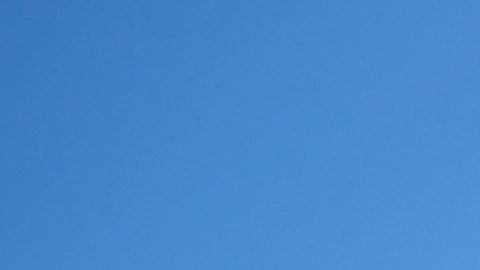 Los fanáticos de los superhéroes (o de los villanos con estilo), podrán disfrutar de la nueva colección de Wendy's de 12 figuras exclusivas de DC Rides.