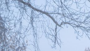 El proyecto reúne a los dos ganadores del Óscar en una historia adaptada de la novela de Peter Cameron