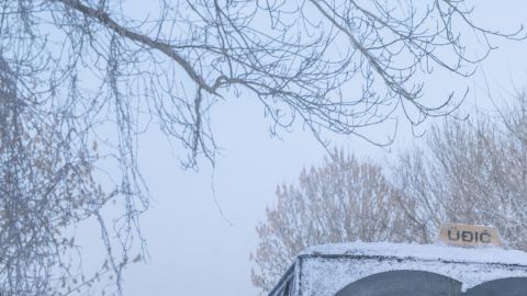 El proyecto reúne a los dos ganadores del Óscar en una historia adaptada de la novela de Peter Cameron