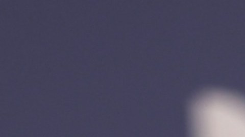 Yailin La Más Viral, cantante dominicana.