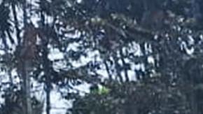 Integrantes de las Fuerzas Militares de Colombia, rescatistas y voluntarios realizan labores de rescate este lunes, en Puerto Leguizamo (Colombia).
