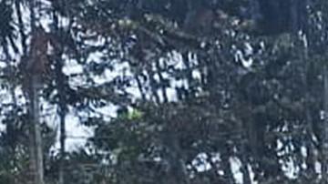 Integrantes de las Fuerzas Militares de Colombia, rescatistas y voluntarios realizan labores de rescate este lunes, en Puerto Leguizamo (Colombia).