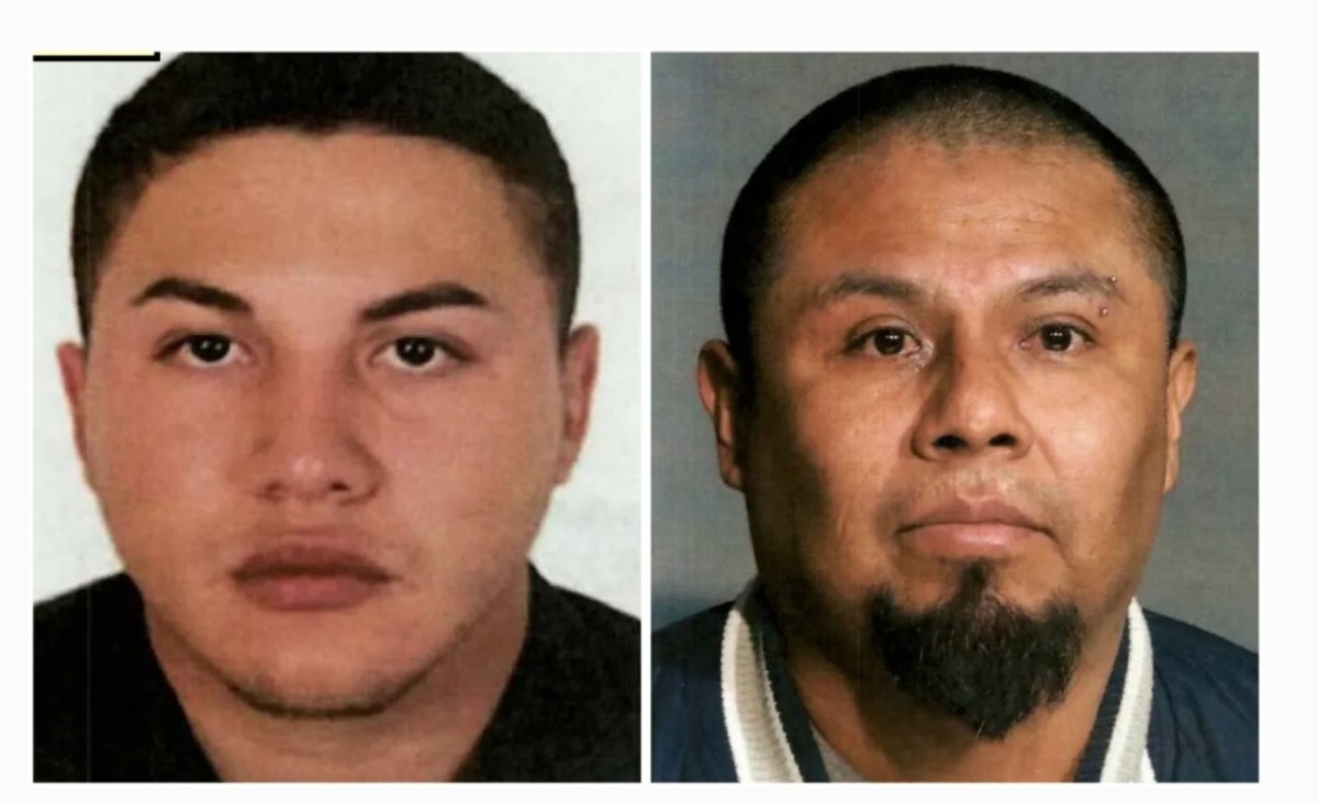 Cárcel de por vida para dos pandilleros latinos: declarados culpables en Nueva York