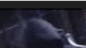 Sospechosos de balacera mortal en restaurante en Queens (NYC).