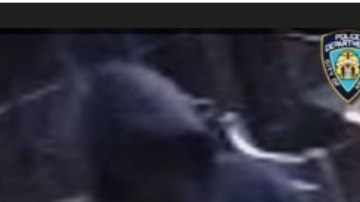 Sospechosos de balacera mortal en restaurante en Queens (NYC).