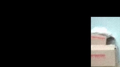 Wilson Adrián Morocho Necta.