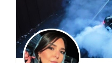 Nerdeen Kiswani @NerdeenKiswani