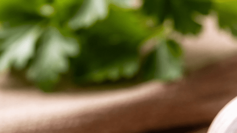 Dientes de ajo con brotes verdes germinados sobre una tabla de madera junto a cabezas de ajo enteras.