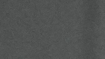 Gustavo Alfaro, DT de Paraguay.