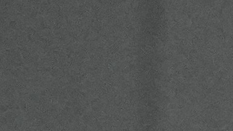 Gustavo Alfaro, DT de Paraguay.