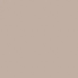 Las manzanas son conocidas por su efecto de “limpieza” en la boca, gracias a que estimulan la producción de saliva.