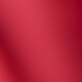 Comer un puñado de almendras al día puede parecer un gesto menor, pero sus beneficios abarcan varias áreas de la salud.