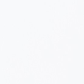 Arroz con huevo sobre un plato blanco y fondo neutro.