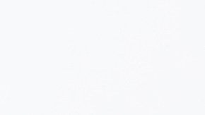 Arroz con huevo sobre un plato blanco y fondo neutro.