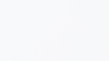 Arroz con huevo sobre un plato blanco y fondo neutro.