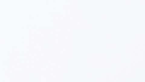 Arroz con huevo sobre un plato blanco y fondo neutro.