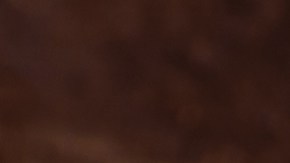 Platos de arroz con huevo sobre fondo madera.