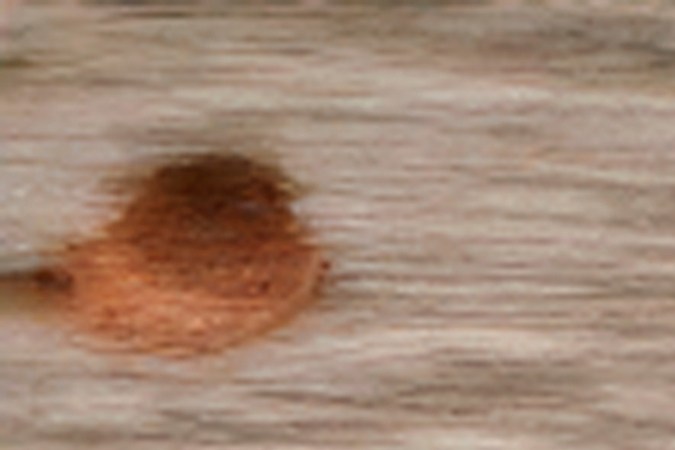 Plato de arroz servido sobre fondo de madera