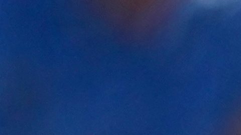 El receptor estadounidense Cal Raleigh responde sobre polémica con Arozarena.