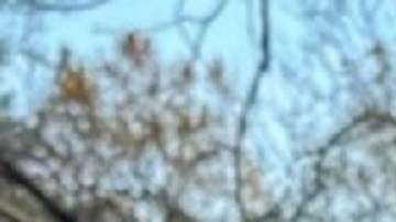 Good Counsel Homes hace realidad la misión de Catholic
Charities of New York de brindar ayuda y crear esperanza
para madres y familias.