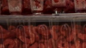 Verifica el sello EST. 34729 y el código 105761 en el reverso de la carne. Si lo tienes, no lo consumas.